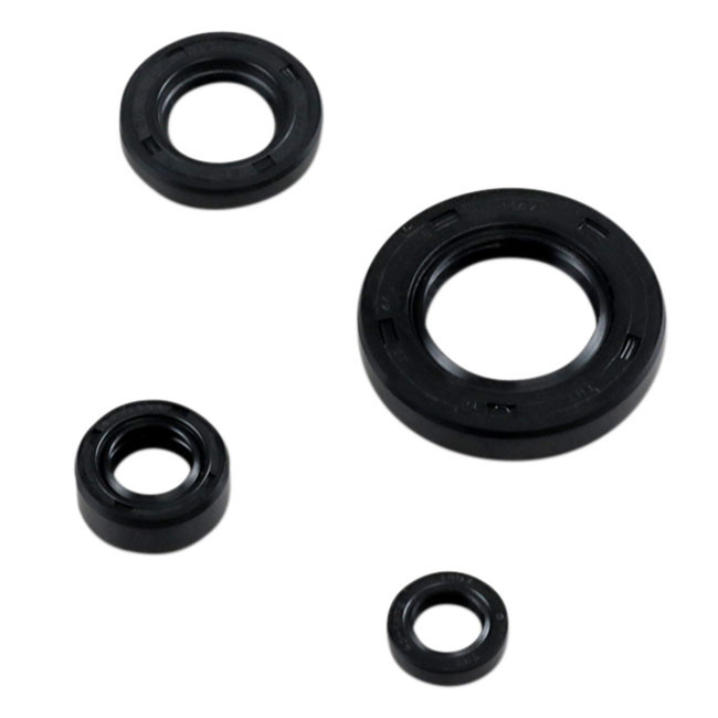 oil seal kit,  DR 650 96-