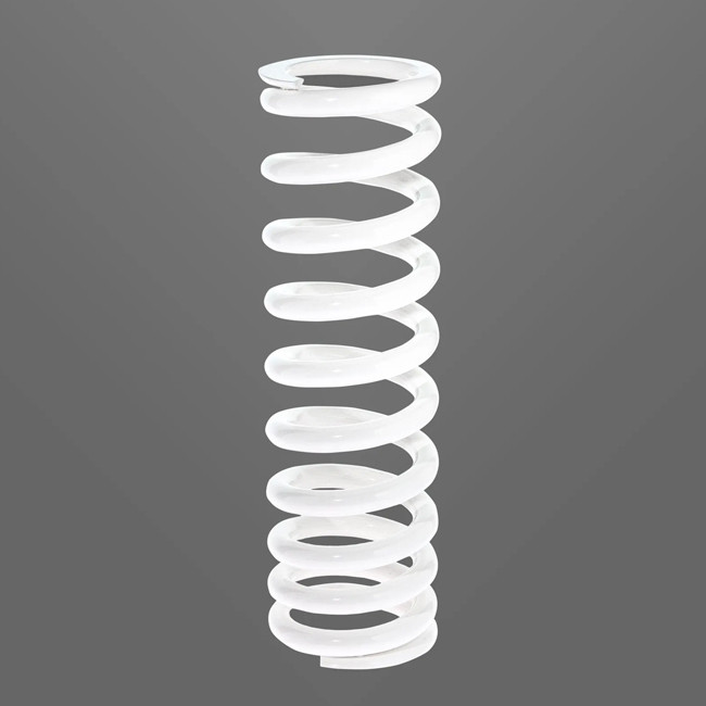 reinforced spring for rear shock, DR350